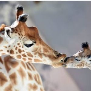 Meet your Posher, Yum yum